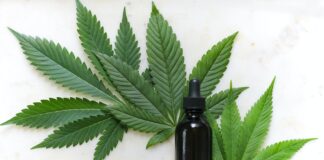 Comissão discute projeto que autoriza cultivo da Cannabis para uso medicinal