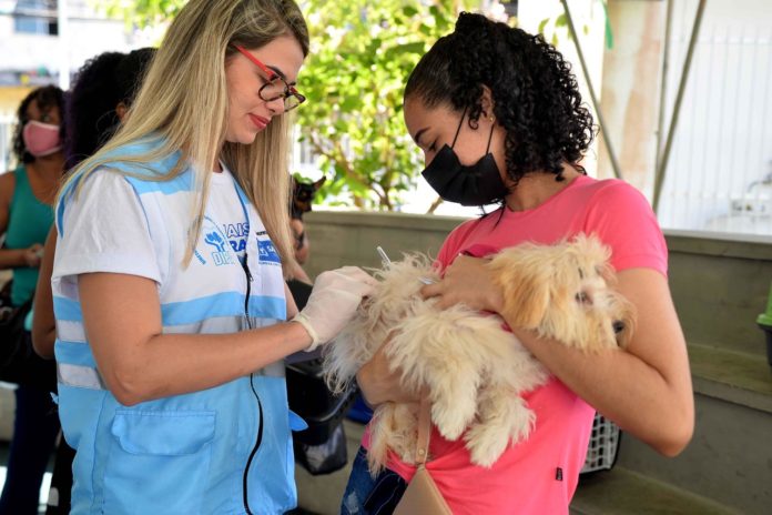 11_08_2022_Vacinacao_caes_e_gatos_Foto_Jefferson-Peixoto_Secom_Pms-40_Easy-Resize.com