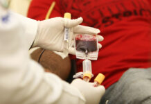 Serviços: Hemoba amplia coleta de sangue na capital e interior em novembro