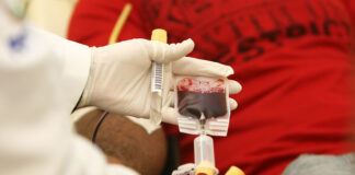 Serviços: Hemoba amplia coleta de sangue na capital e interior em novembro