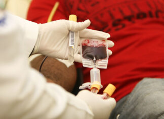 Serviços: Hemoba amplia coleta de sangue na capital e interior em novembro