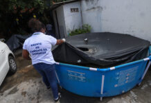 Prefeitura intensifica ações de combate ao mosquito da dengue em Salvador