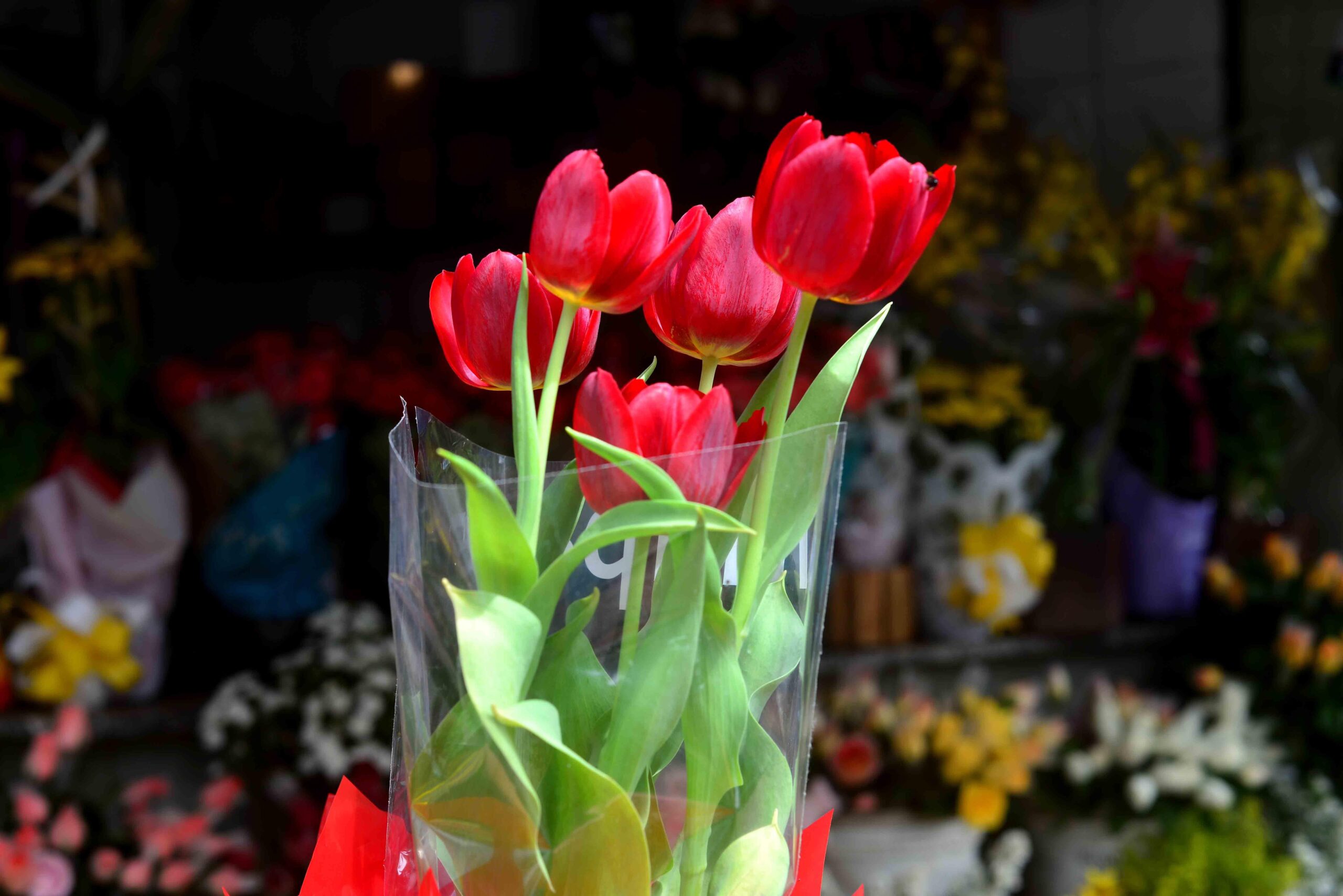 Mercado-das-Flores_Foto_Jefferson-Peixoto_Secom_Pms-11