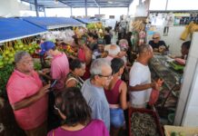 Operação especial: Codecon inicia fiscalização em mercados e feiras de Salvador para insumos do caruru