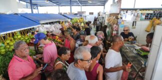 Operação especial: Codecon inicia fiscalização em mercados e feiras de Salvador para insumos do caruru