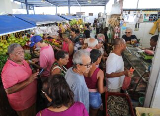 Operação especial: Codecon inicia fiscalização em mercados e feiras de Salvador para insumos do caruru