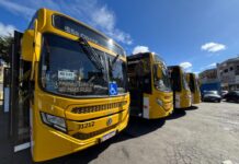 Desfile de 7 de Setembro: Prefeitura monta esquema especial de transporte