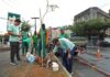 Capital: Prefeitura promove plantio na Avenida Jequitaia em combate ao vandalismo contra mudas