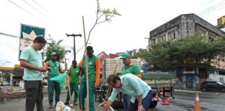 Capital: Prefeitura promove plantio na Avenida Jequitaia em combate ao vandalismo contra mudas