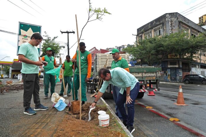 23_07_2026_Plantio-Avenida-jequitaia_Fot-Bruno-Concha_Secom_Pms-4-1024x683