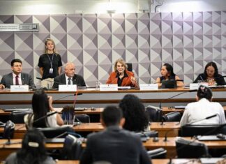 Brasil: Subcomissão Ianomâmi avalia saúde indígena e combate ao garimpo ilegal