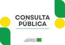 Eventos climáticos: Aberta consulta pública sobre Estratégia Nacional de Soluções Baseadas na Natureza para Áreas Urbanas