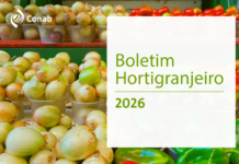 Levantamento: Preços de alface, cebola, batata e mamão têm redução média superior a 10% nas Ceasas
