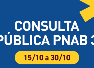 Secult abre consulta pública para receber contribuições ao Ciclo 3 da PNAB na Bahia
